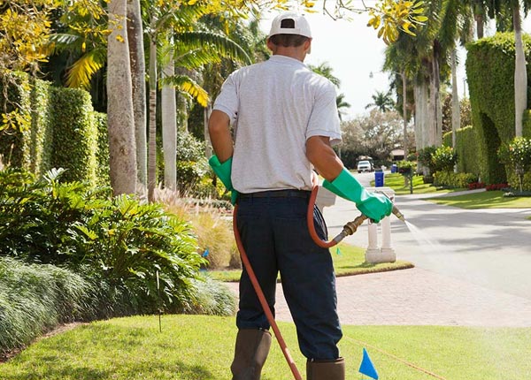 About Glen Head NY Pest Control